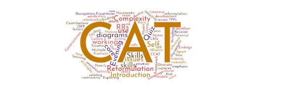 Word Cloud created from CAT Practitioner Training Programme