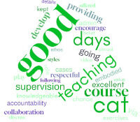 A word cloud spelling out CAT in greens, blues and purples