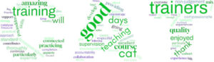 A word cloud spelling out CAT in greens, blues and purples