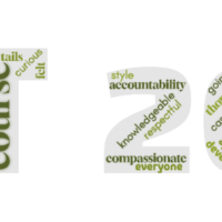 Muted green image spelling out 'CAT 2026'